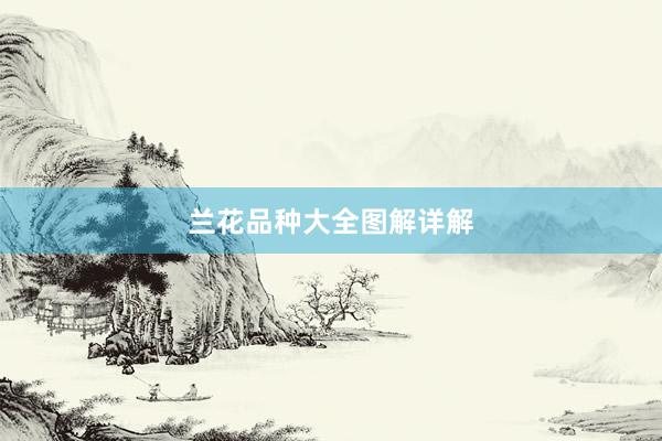 兰花品种大全图解详解