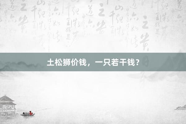 土松狮价钱，一只若干钱？