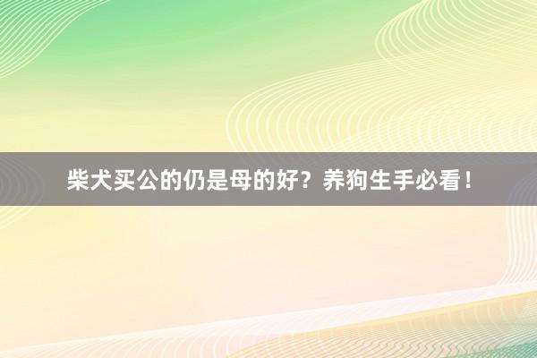 柴犬买公的仍是母的好？养狗生手必看！