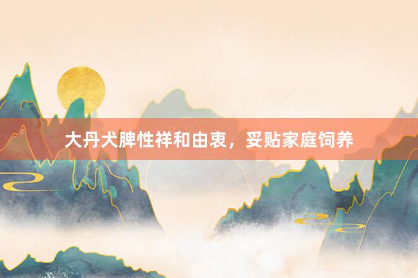 大丹犬脾性祥和由衷，妥贴家庭饲养